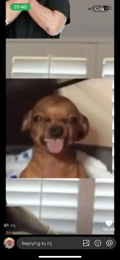 Photo from customer review